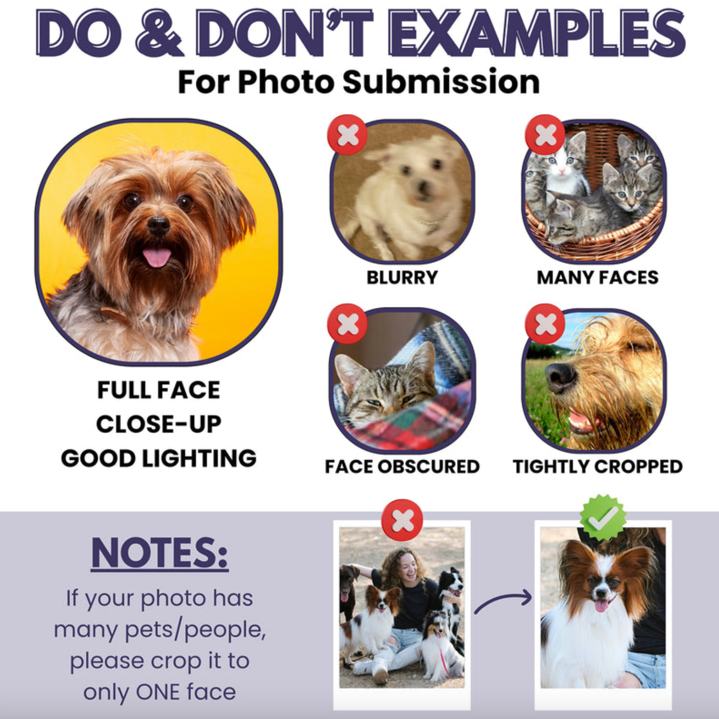 Custom Photo Dog Cat Pet Portrait - Personalized Custom Peel-out Hologram Sticker