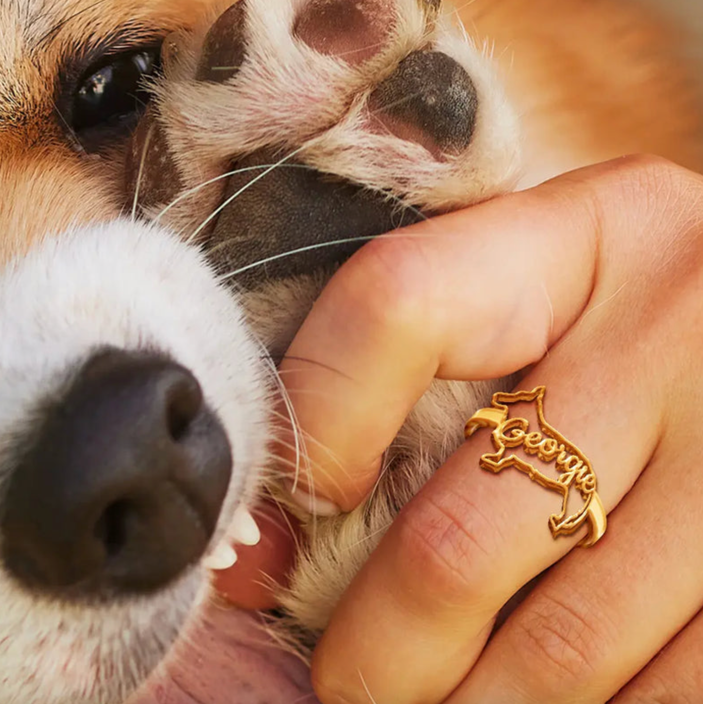 Cute Minimalist Dog Shaped Jewelry For Dog Lovers Dog Mom - Personalized Pet Silhouette Name Ring